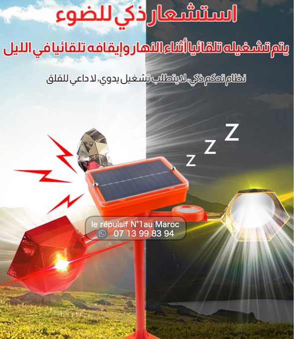 جهاز طارد الطيور الالماني بالطاقة الشمسية  رقم 1 في المغرب