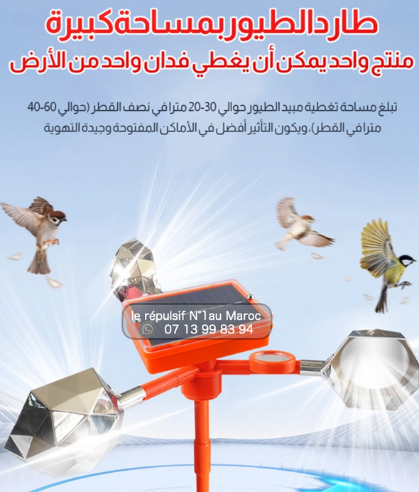 جهاز طارد الطيور الالماني بالطاقة الشمسية  رقم 1 في المغرب