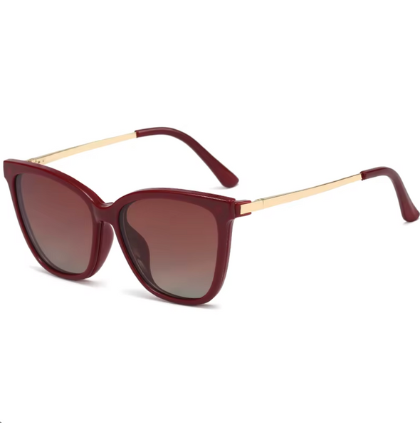 Lunettes 2 en 1  polarisées magnétique avec clip DX9879