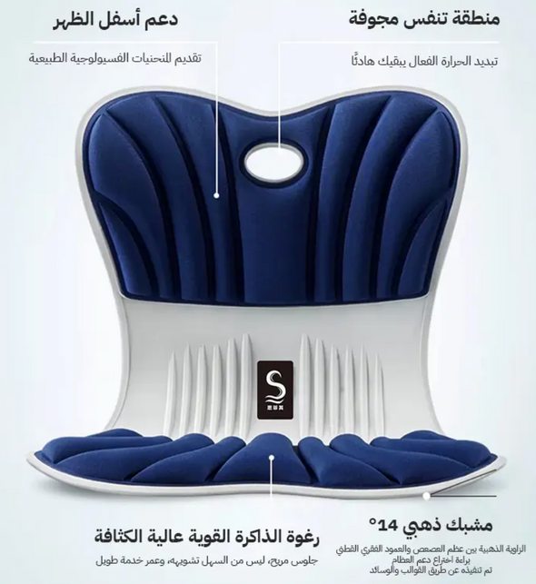 Chaise de Correction de Posture assise